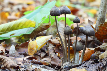 Similar image 1038245