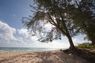 Similar image 1038265