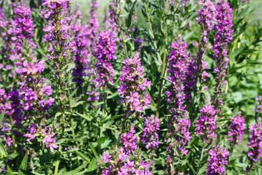 Similar image 1038304