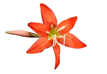 Similar image 1038316