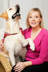 Similar image 1038333