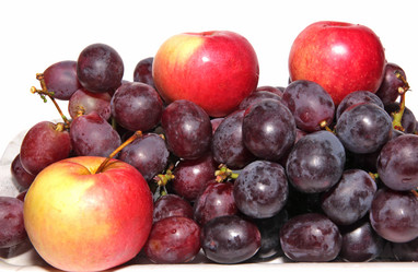 Similar image 1038343