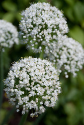 Similar image 1038432