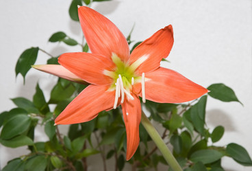 Similar image 1038452