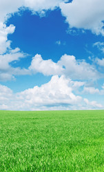 Similar image 1038458