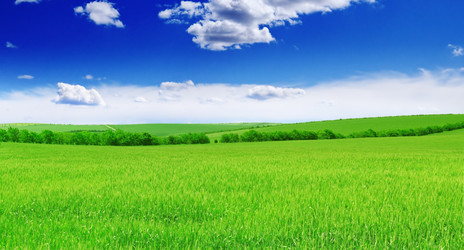 Similar image 1038463