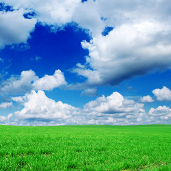 Similar image 1038466