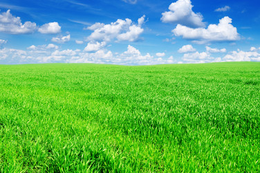 Similar image 1038467