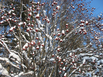 Similar image 1038468