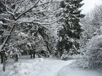 Similar image 1038471