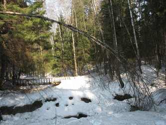 Similar image 1038474