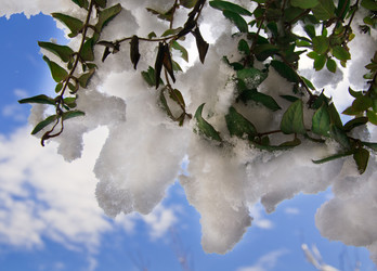 Similar image 1038515