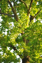 Similar image 1038521