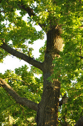 Similar image 1038529