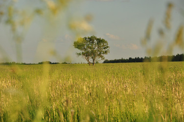 Similar image 1038539