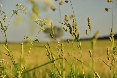 Similar image 1038557