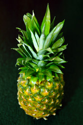 Similar image 1038614