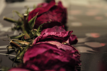 Similar image 1038631