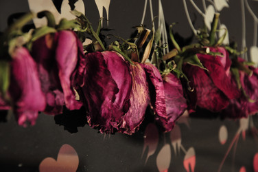 Similar image 1038636