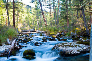 Similar image 1038697