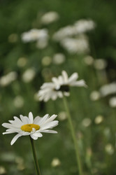 Similar image 1038760