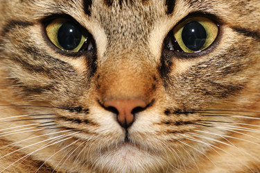 Similar image 1038777