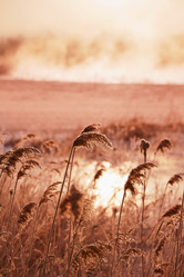 Similar image 1038788