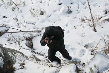 Similar image 1038842