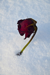 Similar image 1039062