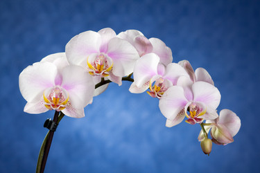 Similar image 1039213