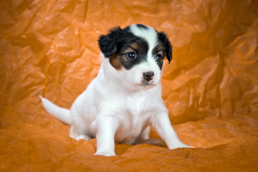 Similar image 1039216