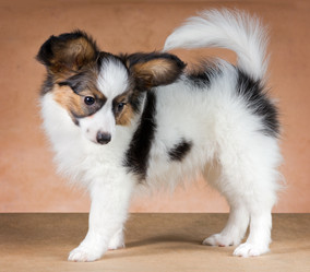 Similar image 1039218