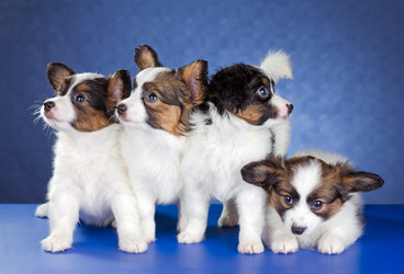 Similar image 1039219