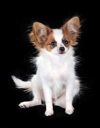 Similar image 1039221