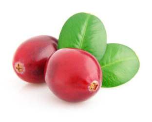 Similar image 1039264