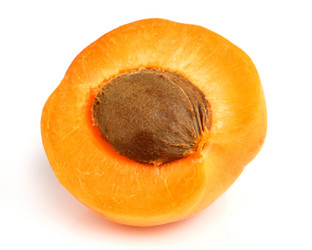 Similar image 1039269