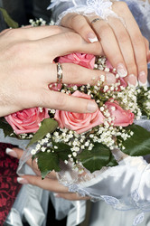 Similar image 1039286