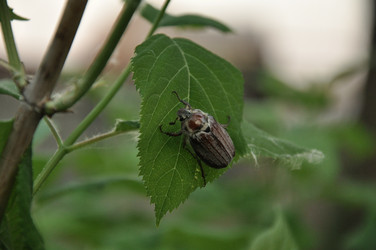 Similar image 1039298