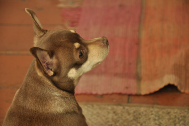 Similar image 1039358