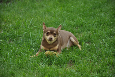 Similar image 1039371