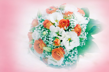 Similar image 1039402