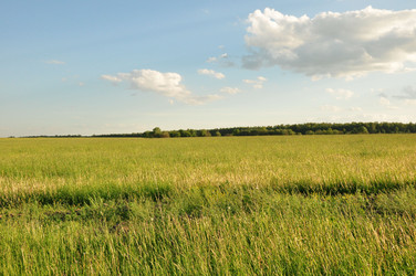 Similar image 1039412