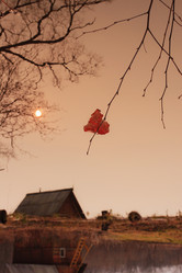 Similar image 1039413