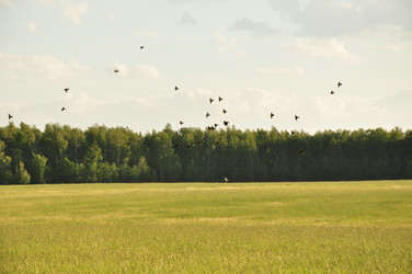 Similar image 1039414