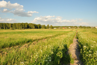 Similar image 1039416