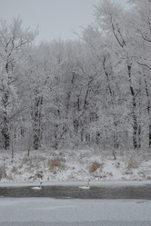 Similar image 1039483