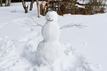 Similar image 1039525