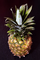 Similar image 1039638