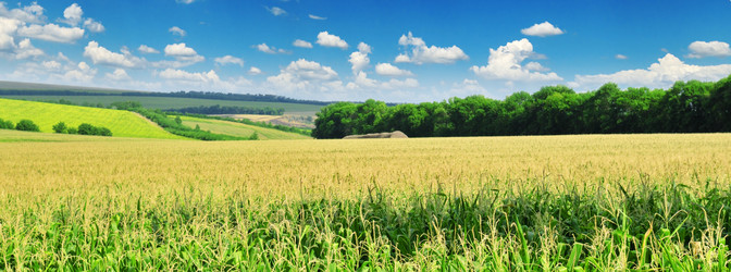 Similar image 1039662