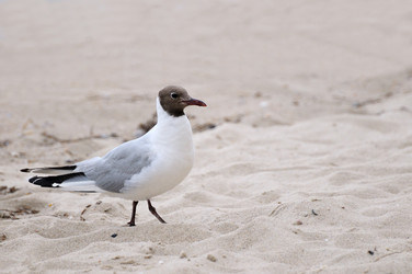 Similar image 1039779